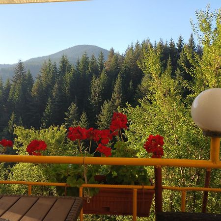 Guest House Stoletnika Yagodina Exterior photo