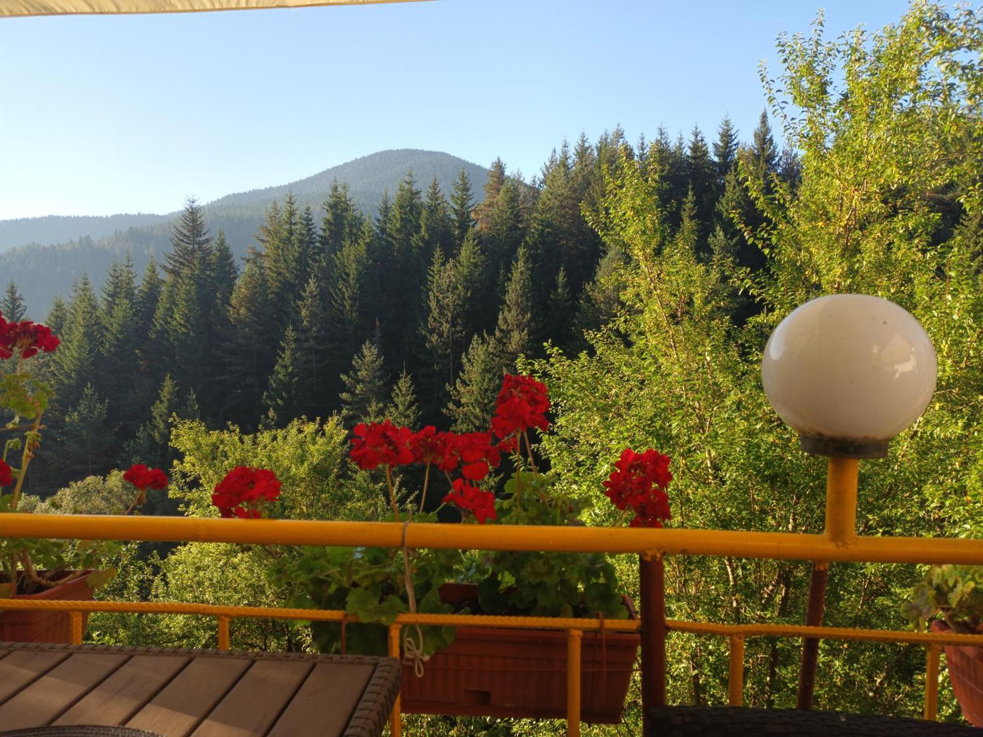 Guest House Stoletnika Yagodina Exterior photo